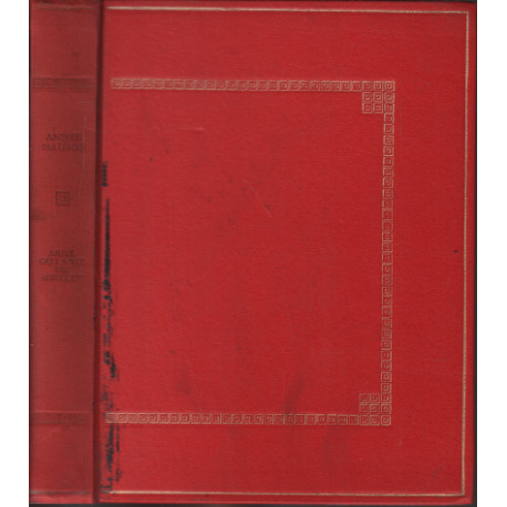 Ariel ou la vie de shelley / illustrations originales de gabriel...