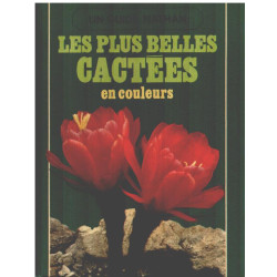 Les plus belles cactées en couleurs