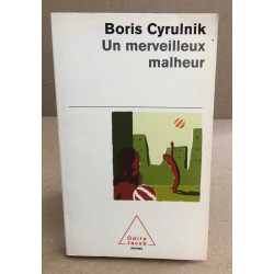 Un merveilleux malheur