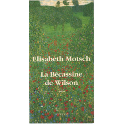 La Bécassine de Wilson