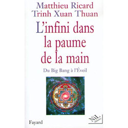 L'Infini dans la paume de la main : Du Big Bang à l'Eveil
