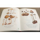 Petit atlas des champignons / tome 1 généralités et planches couleurs