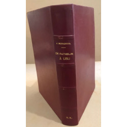 De pathelin à Ubu / le bilan des types littéraires
