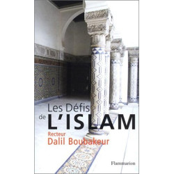Les défis de l'Islam