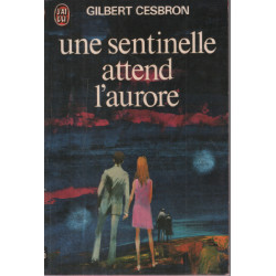 Une sentinelle attend l'aurore