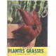 Plantes grasses