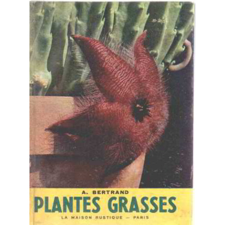 Plantes grasses