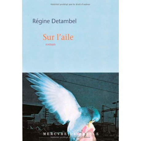 Sur l'aile