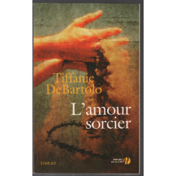 L'amour sorcier ( roman )