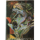 Andre masson nimes 85