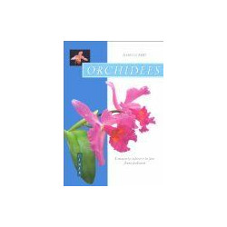 Orchidées: Comment les cultiver et les faire fleurir facilement