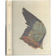 L'oiseau