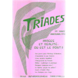 Revue triades printemps 1991/ images et realité : ou est le pont