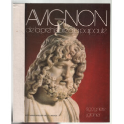 Avignon : de la préhistoire à la papauté