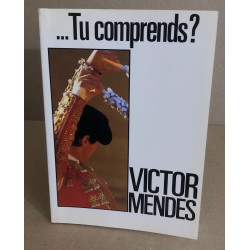 tu comprends