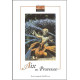 Aix-en-Provence