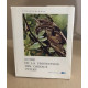 Guide la protection des oiseaux utiles