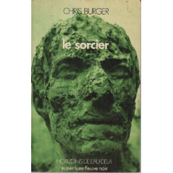 Le sorcier