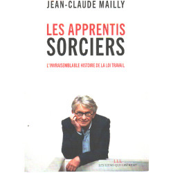 Les apprentis sorciers / l'invraisemblable histoire de la loi travail