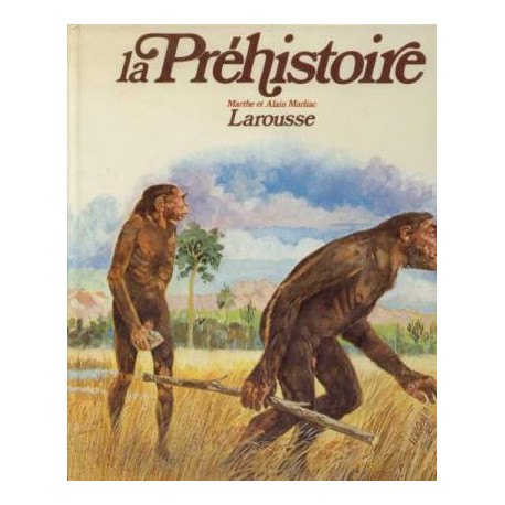 La préhistoire