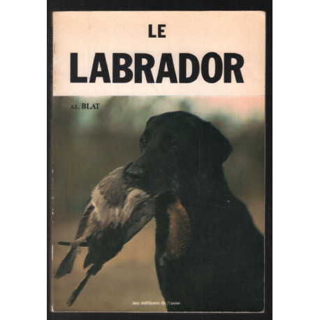 Le labrador