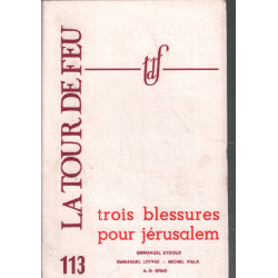 La tour de feu n° 113 / trois blessures pour jérusalem