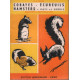 Élevage et reproduction : cobayes écureuils hamsters rats et souris