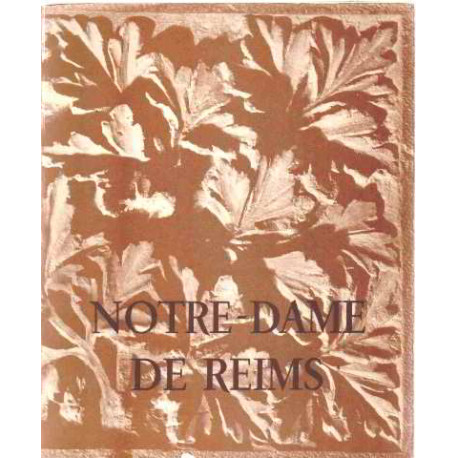 Notre dame de reims/ photographies de maurice porret
