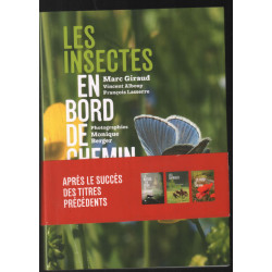 Les insectes en bord de chemin