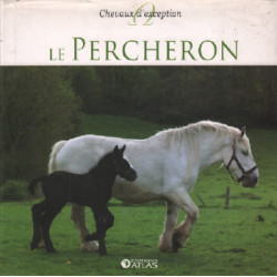 Le percheron