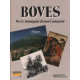 Boves / voci e immagini di una comunita