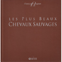 Les plus beaux chevaux sauvages