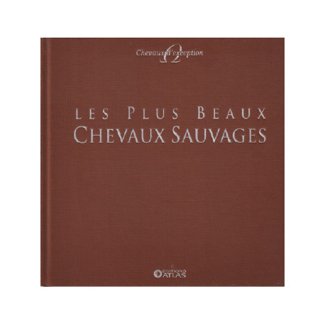 Les plus beaux chevaux sauvages