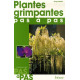Plantes grimpantes