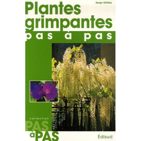 Plantes grimpantes