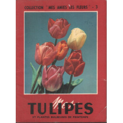 Tumipes et plantes bulbeuses de printemps