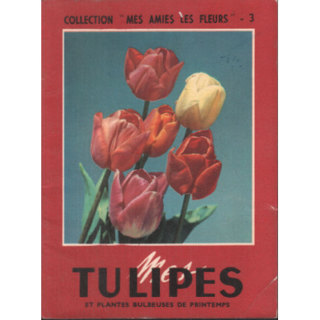 Tumipes et plantes bulbeuses de printemps