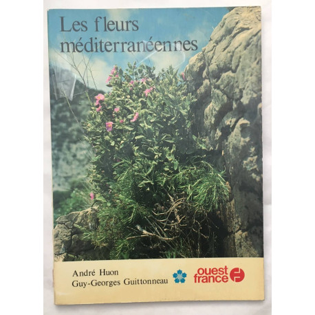 Les fleurs méditerranéennes