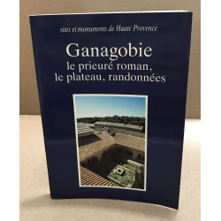 Ganagobie le prieuré roamn le plateau randonnées