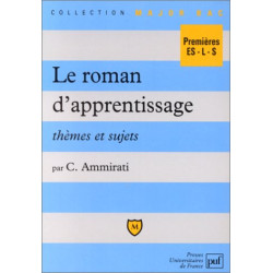 Le roman d'apprentissage : thèmes et sujets