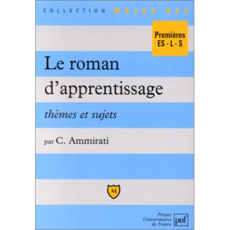 Le roman d'apprentissage : thèmes et sujets