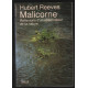 Malicorne reflexions d'un observateur de la nature