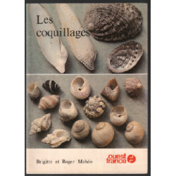 Les coquillages
