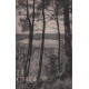 Chef / scouts de france n° 330