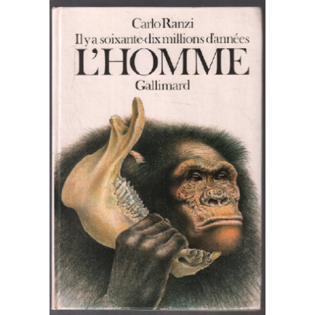 L'homme il y a soixante-dix millions d'années