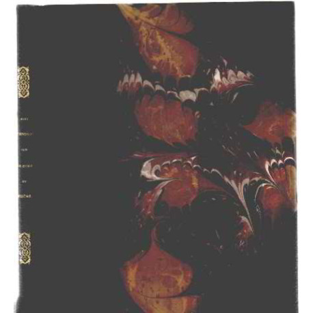 Avec stendhal sur les bords du rhone / illustrations de ducultit