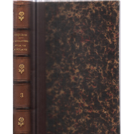 L'angleterre et la vie anglaise/ tome 3