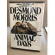 Animal days
