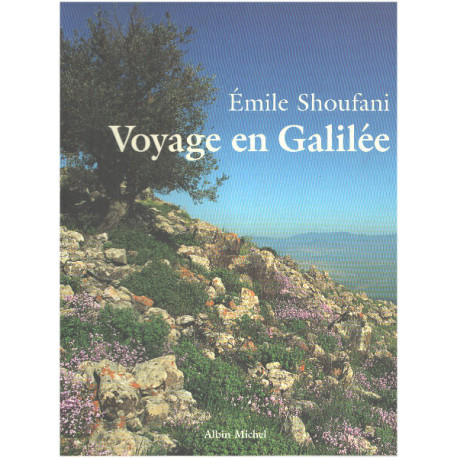 Voyage en Galilée
