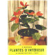 Plantes d'interieur